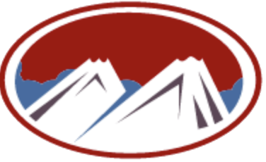 Nt gray logo